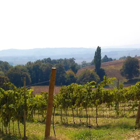 Willa Madonna Della Sanita Sleeps 14 With Pool And Wifi Monteleone dʼOrvieto