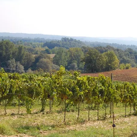 Madonna Della Sanita Sleeps 14 With Pool And Wifi וילה Monteleone dʼOrvieto